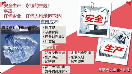 国产29页,揭秘我国科技发展的新篇章